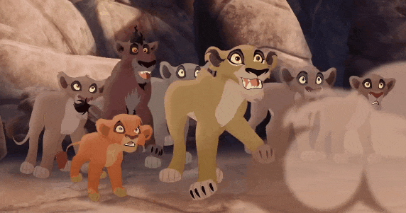 lionguardgifs - “As long as I’m around, you’re not welcome in...