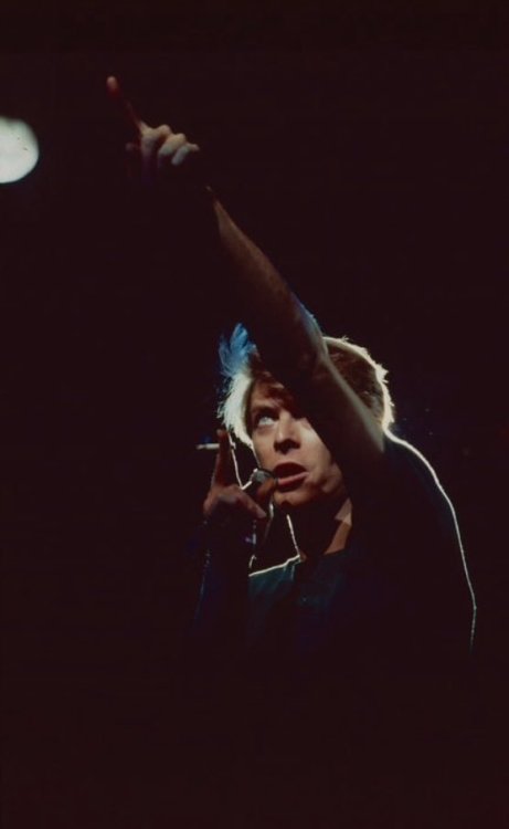 fabforgottennobility - David Bowie, 1978 Photo - Peter Katsis