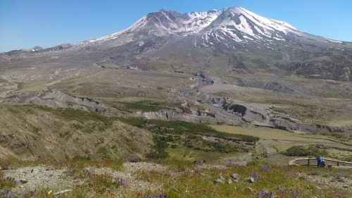 thecringeandwincefactory - raysofgaia - I visited Mt St Helens in...