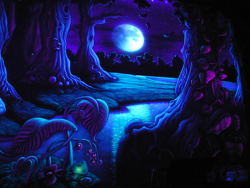 zzpsiconautazz - “UV enchanted forest” by TomLenz