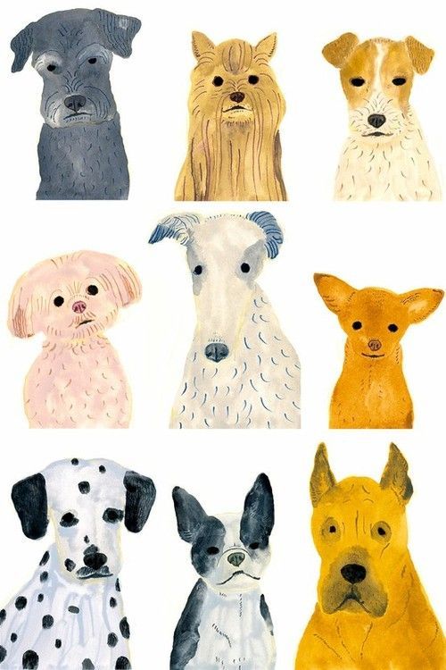 littlealienproducts - Dog Portraits by Itsuko Suzuki