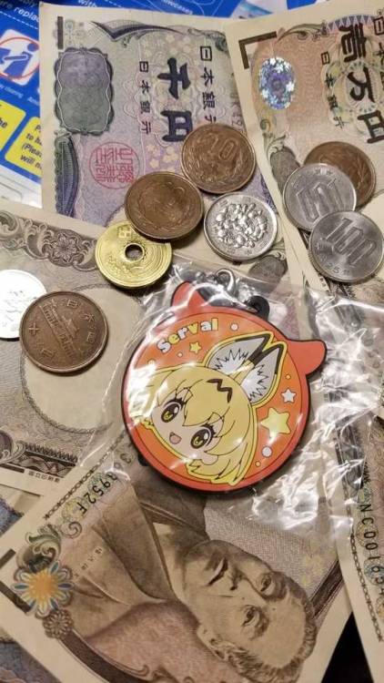 shitpost-senpai - This is the money serval. Reblogging isn’t...