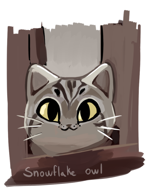 snowflake-owl - I drew @charlesoberonn‘s cat (named Simon, such a...