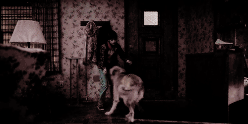 mike-wheeler - when you’re running from demogorgons but your dog...