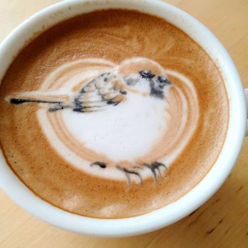 drhaniwa - Stunning froth masterpieces by latte artist Ku-san