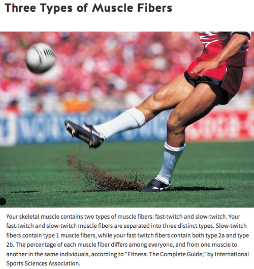 fiti-vation - Further readings - Understanding Muscle Fiber...