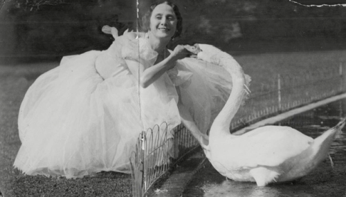 barcarole - Anna Pavlova and her pet swan Jack, ca. 1905. 