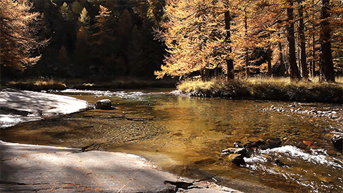 panajan - River autumn