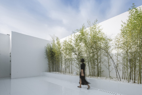 architorturedsouls - Bamboo Forest on the Roof / V STUDIOph - Jin...