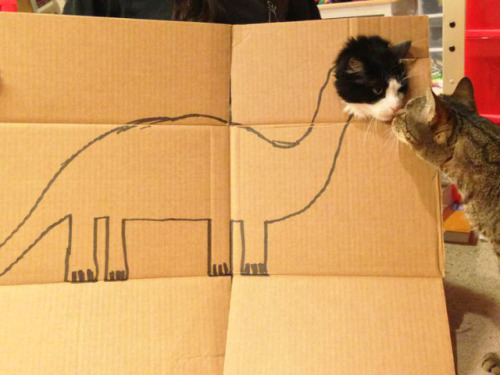 ridgewayearl - notmehstuff - Cardboard cat dinosaurs…...