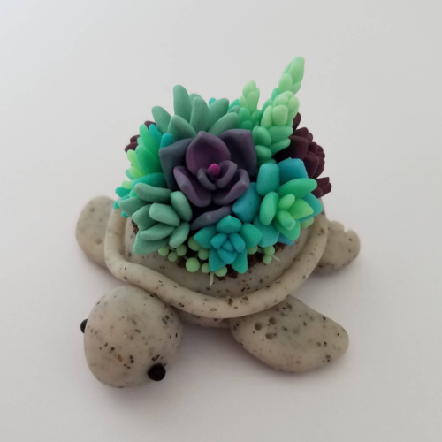 sosuperawesome - Succulent Turtles by Claybie Charms on...