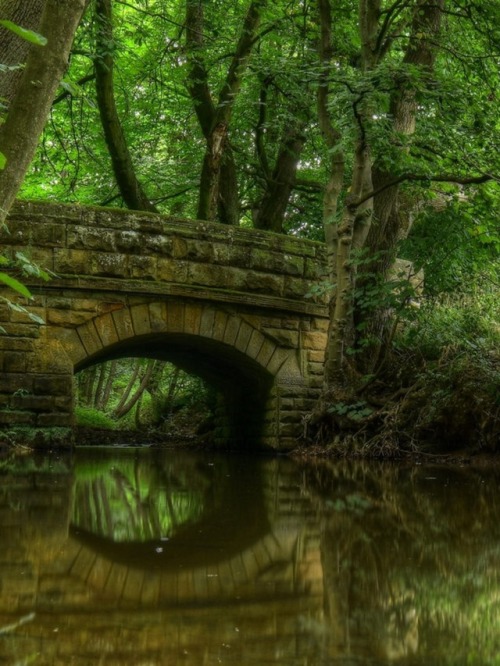 yellowrose543 - Bridge over still water Flickr