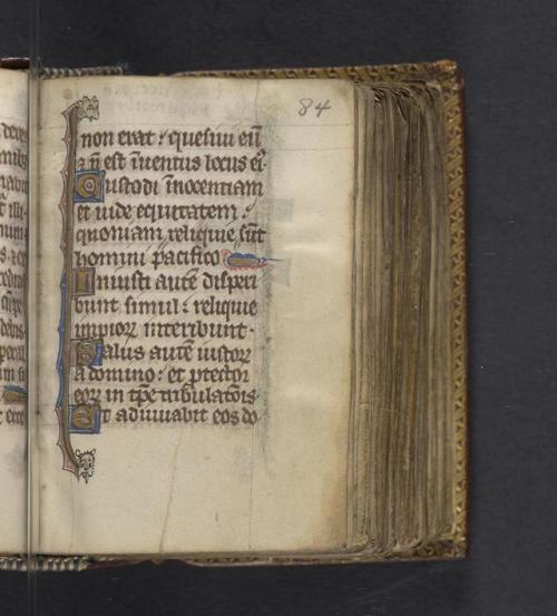 Psalter, The Rosenbach, 14th century (MS 232/15)BiblioPhilly is...