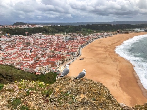 annajewelsphotography - Nazare - Portugal (by annajewels)...