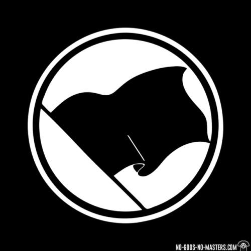 anarchist-revolution - Black Flag found on...