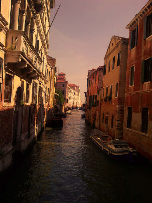 tepitome - Venice, Italy. 2016.