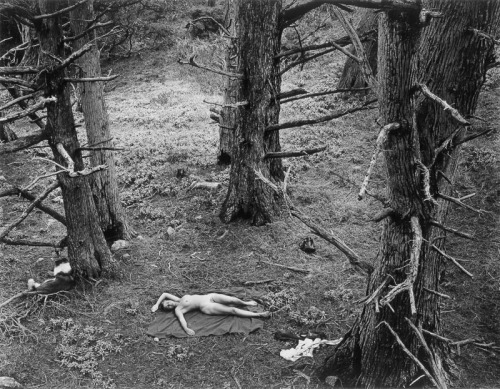 semioticapocalypse - Wynn Bullock. Woman and Dog in Forest....