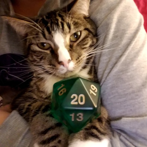 yaboywillyshakes - this is the lucky d20 eothain. reblog to pass...