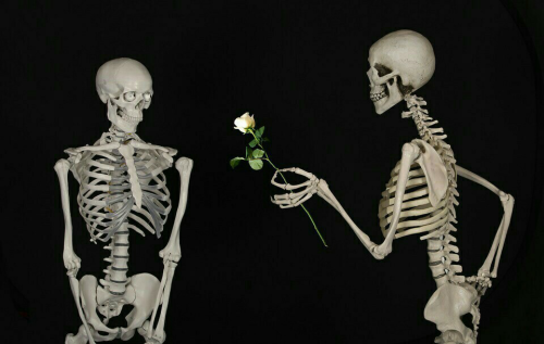 maryfumatochas:- Oooh , flowers ? For me ?- Yes babe,...