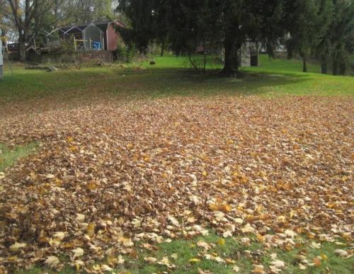 moreuglyhousephotos - DON’T FALL BEHIND IN YOUR FALL CHORES - It...
