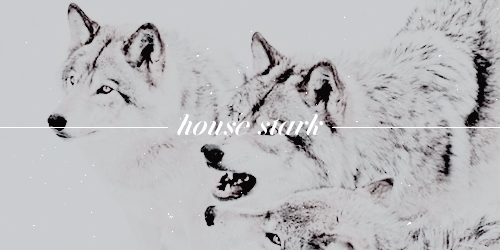 when the snow falls and the wind blows the lone wolf dies but the pack survives. Tumblr_oxt92z2pkf1uulzd4o1_500