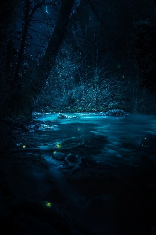 maureen2musings - Fireflies@grafixartphoto