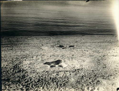 labete-du-gevaudan - In 1937, during the summer, these footprints...