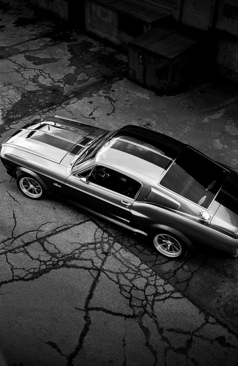 arnold-ziffel - Old school is cool… make mine a Mustang please…