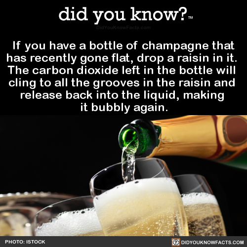 if-you-have-a-bottle-of-champagne-that-has