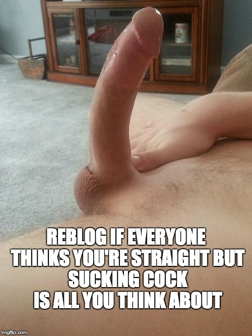 letmelickit169 - myknessyourcock - It’s all I can think about is...