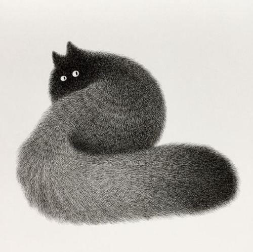 artisticmoods:A selection of very, very fluffy cats by Kamwei...