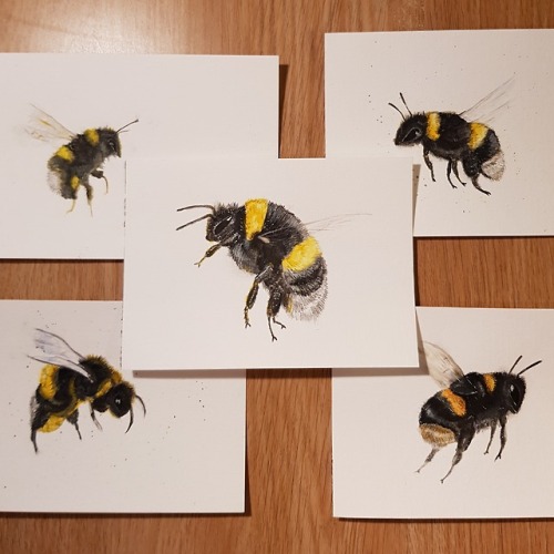 wolfieeee9 - Watercolor Bumblebees - All the bumblebees I’ve...