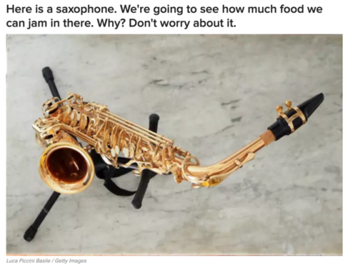 Stuff A Bunch Of Food Inside A Saxophone To See What Dog You Are