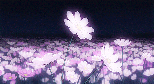 flowers gif on Tumblr