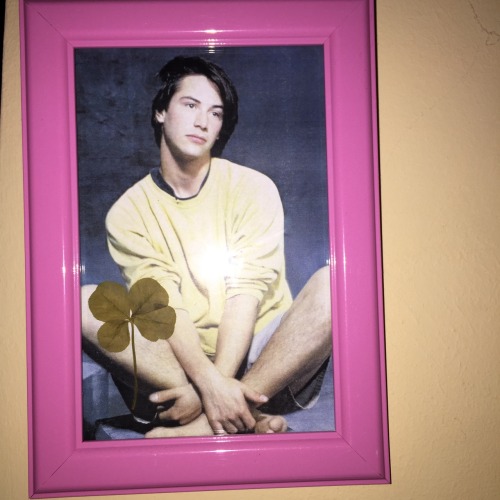 robdelnaja - robdelnaja - robdelnaja - robdelnaja - listen.. ive been praying to framed pic of keanu...
