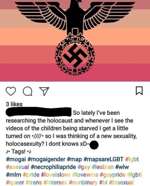 nunyabizni - triggeredmedia - The gay agenda?