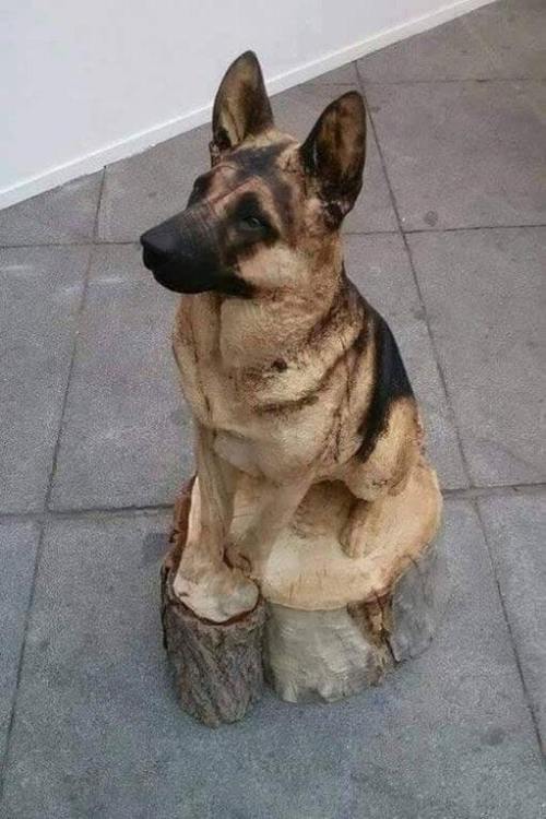 sorta-dad - sixpenceee - Dog carved into a tree stumpCover the...