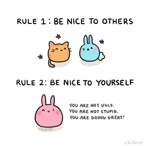 chibird - Remember rule 2! 