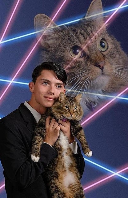 unicornempire - coolcatgroup - Awkward family portraits with cats will always be one of my favorite...
