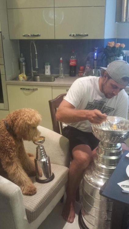 hockeyplayerswithpets - Anze Kopitar and his dog, Gustl, eat...