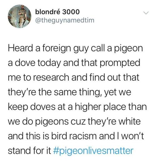 whitepeopletwitter - #PigeonLivesMatter