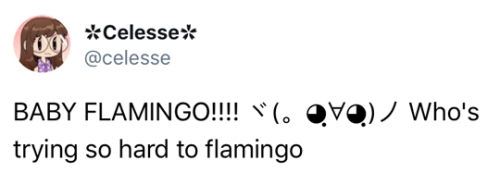 tastefullyoffensive - Flamingoing is harder than it looks. (via...