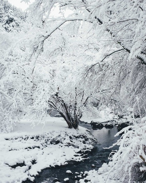 takashiyasui - on a quiet winter day