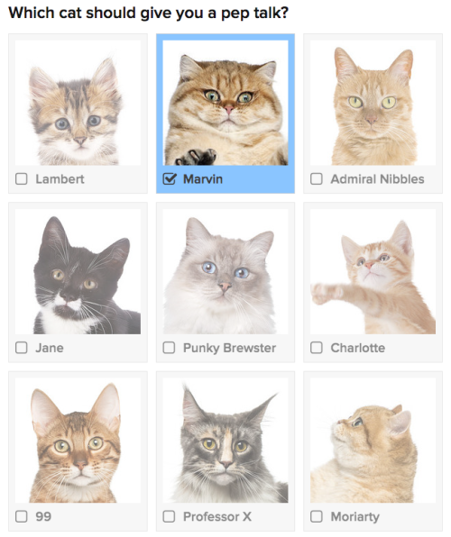 wilwheaton - darienlibrary - buzzfeed - Which Cat Should Give...