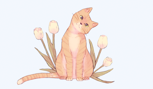 sig-ularity:Some cute cats with flowers that I did for practice.