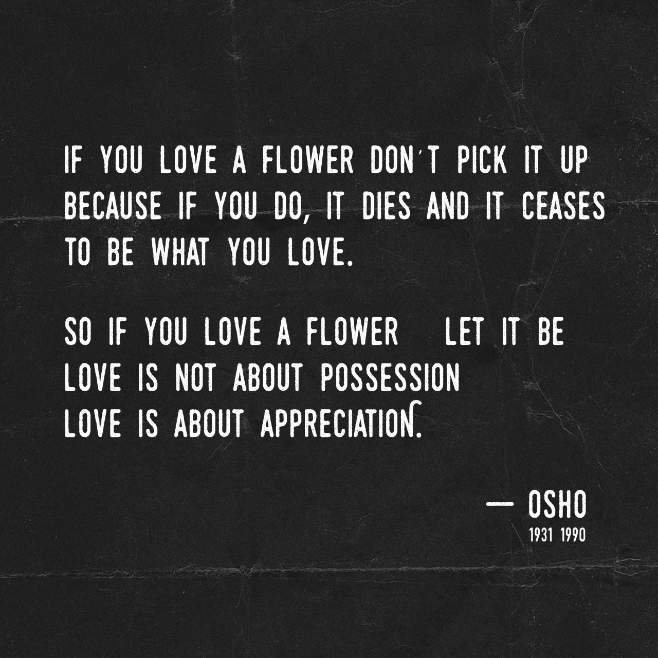 osho osho quotes quotes love flower