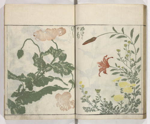 shewhoworshipscarlin - Book pages, 1813, Japan.