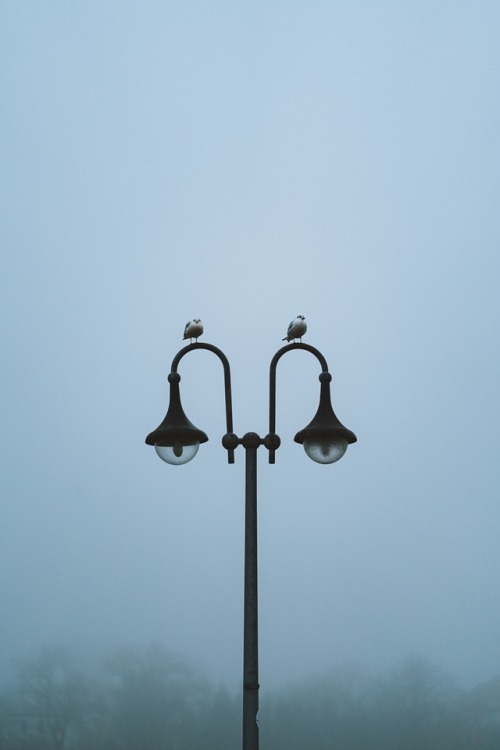 danpetermann - Stroll in the fog. 01 / 10~Rostock, Baltic Sea...