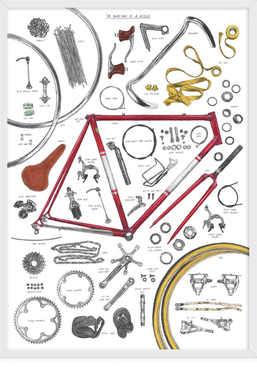 bicyclestore - David Sparshott - anatomy of bike