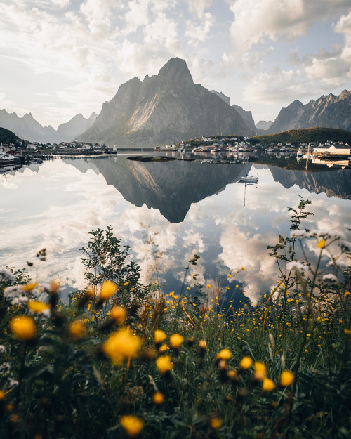 sosuperawesome:Phil Nguyen on InstagramFollow So Super Awesome...